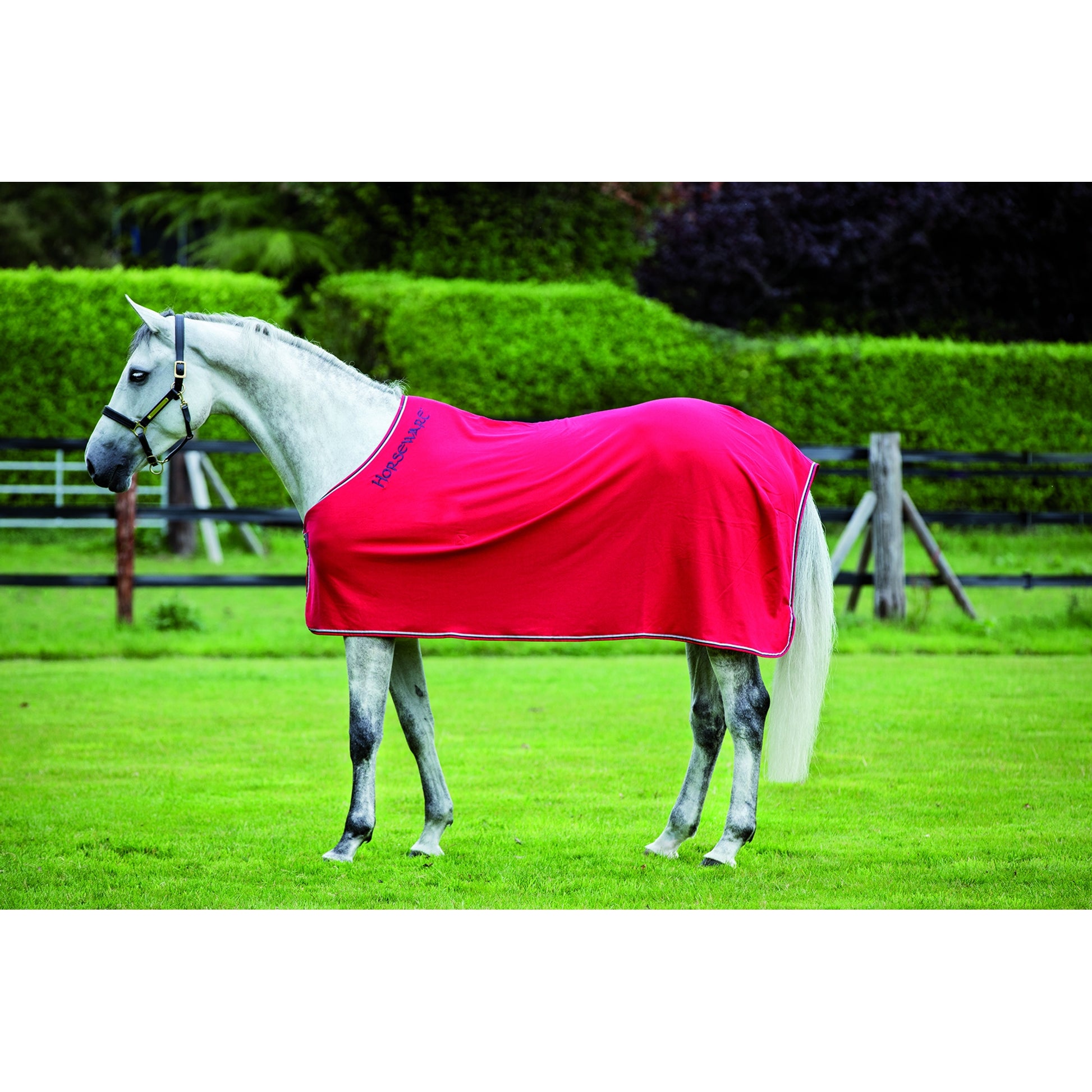 5-855650-redgrey.jpg