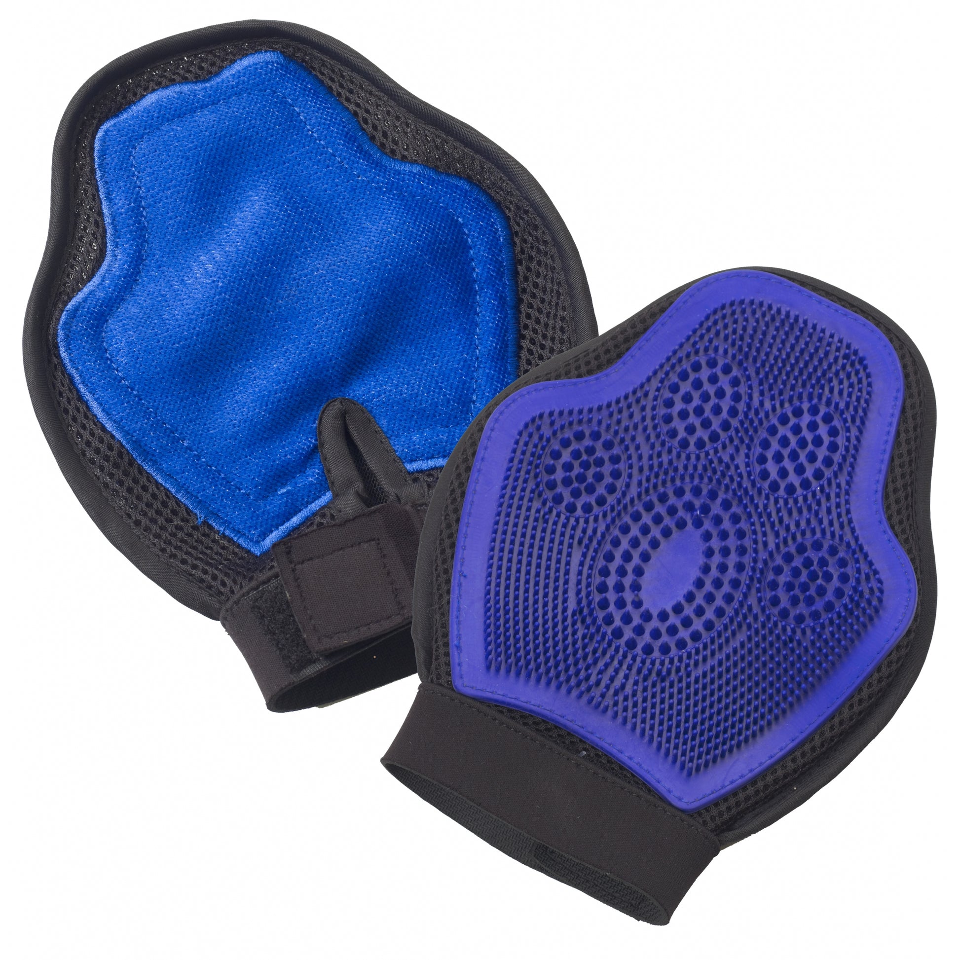 5-858102-blue.jpg