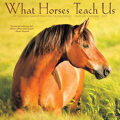 What Horses Teach Us 2017 18 Month Calendar