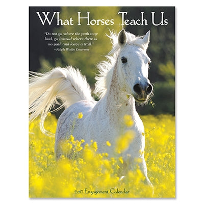 What Horses Teach Us 2017 Engagement 12 Month Calendar