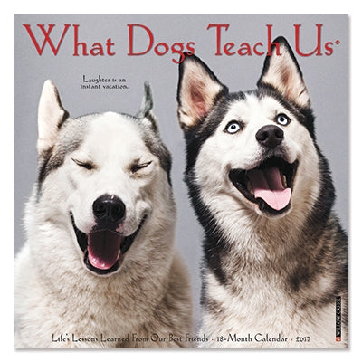 What Dogs Teach Us 2017 18 Month Calendar