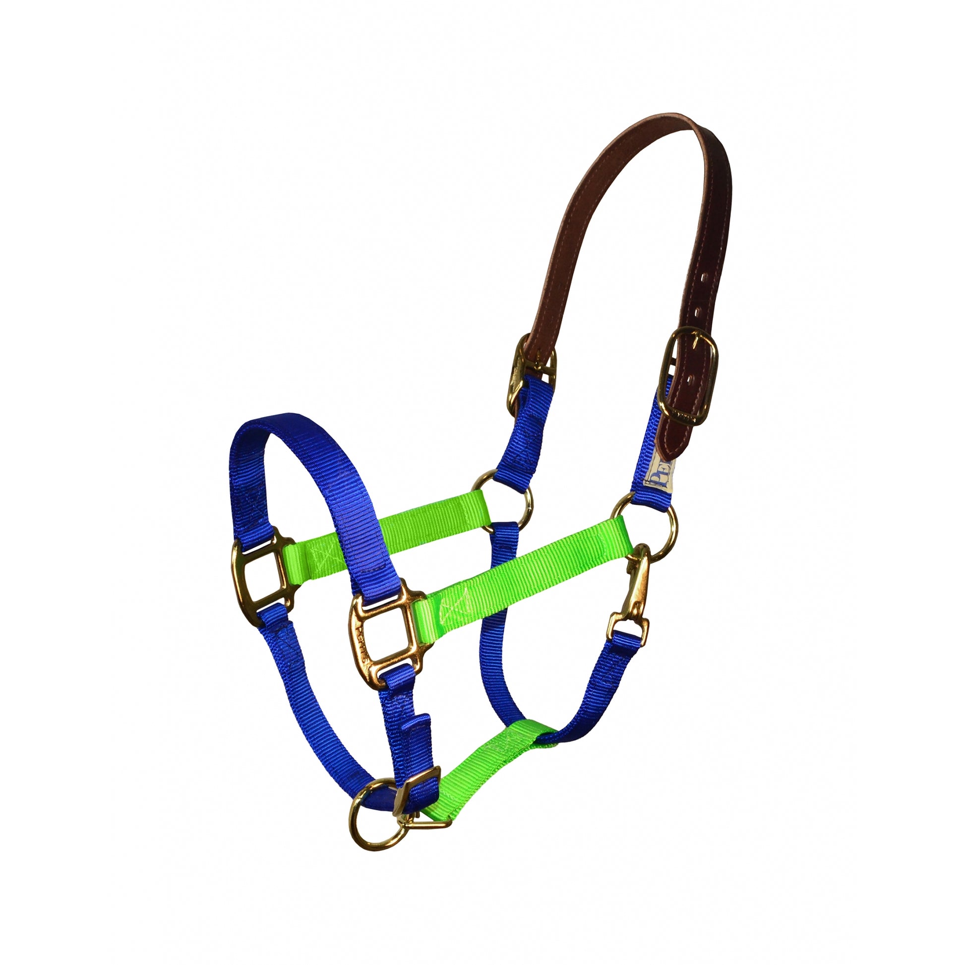 Perri's Color Vision Halter