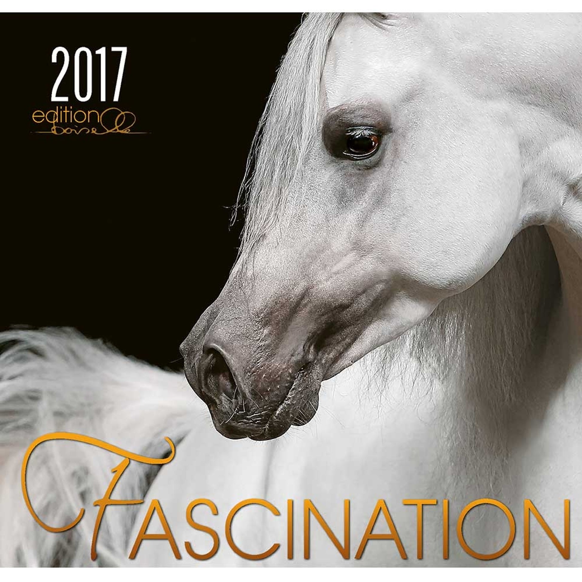 Boiselle Art Calendar Fascination - 2017