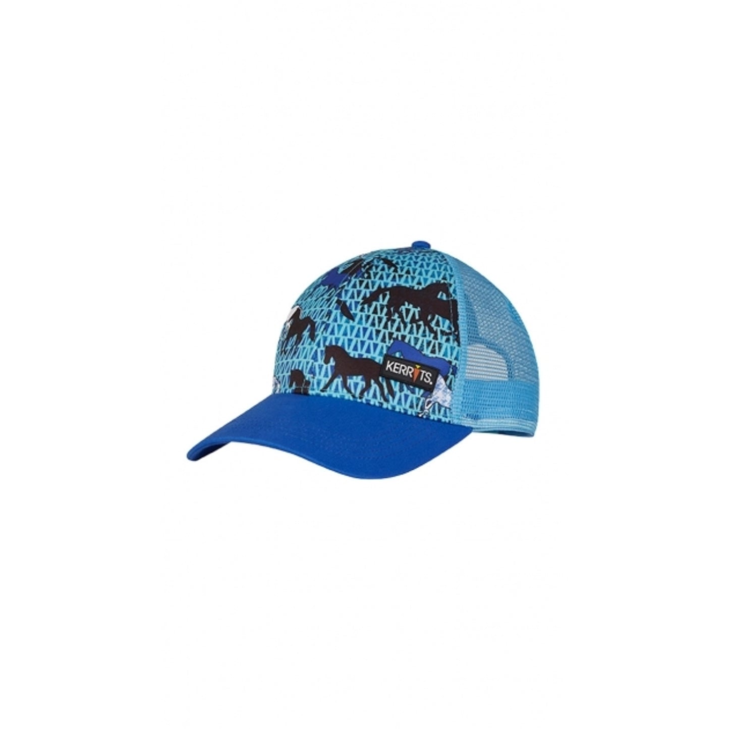 5-869572-bluehorsesfront.jpg