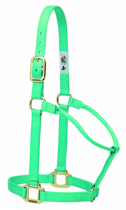5-876008-mint.jpg