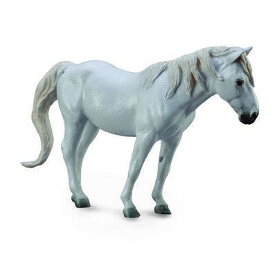 5-893740-corralgreycamargue.jpg