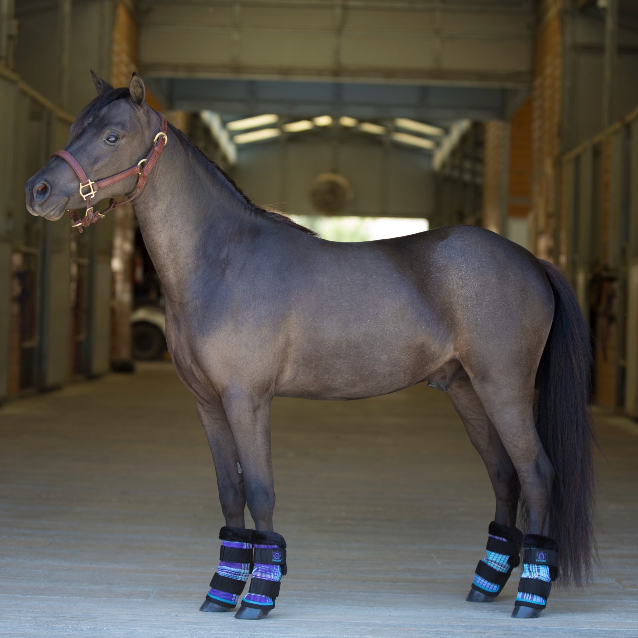 Kensington Mini Fly Boots
