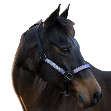 Kensington Breakaway Halter
