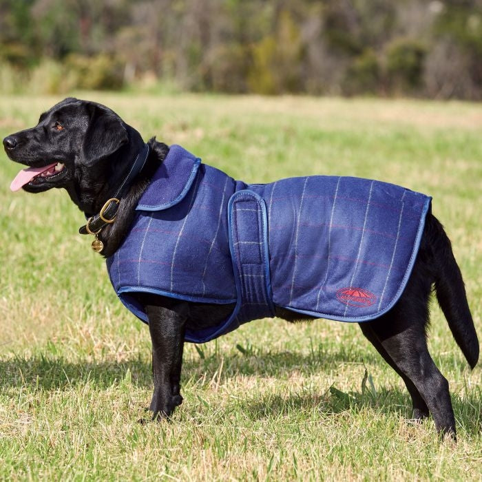 WeatherBeeta Tweed Dog Coat