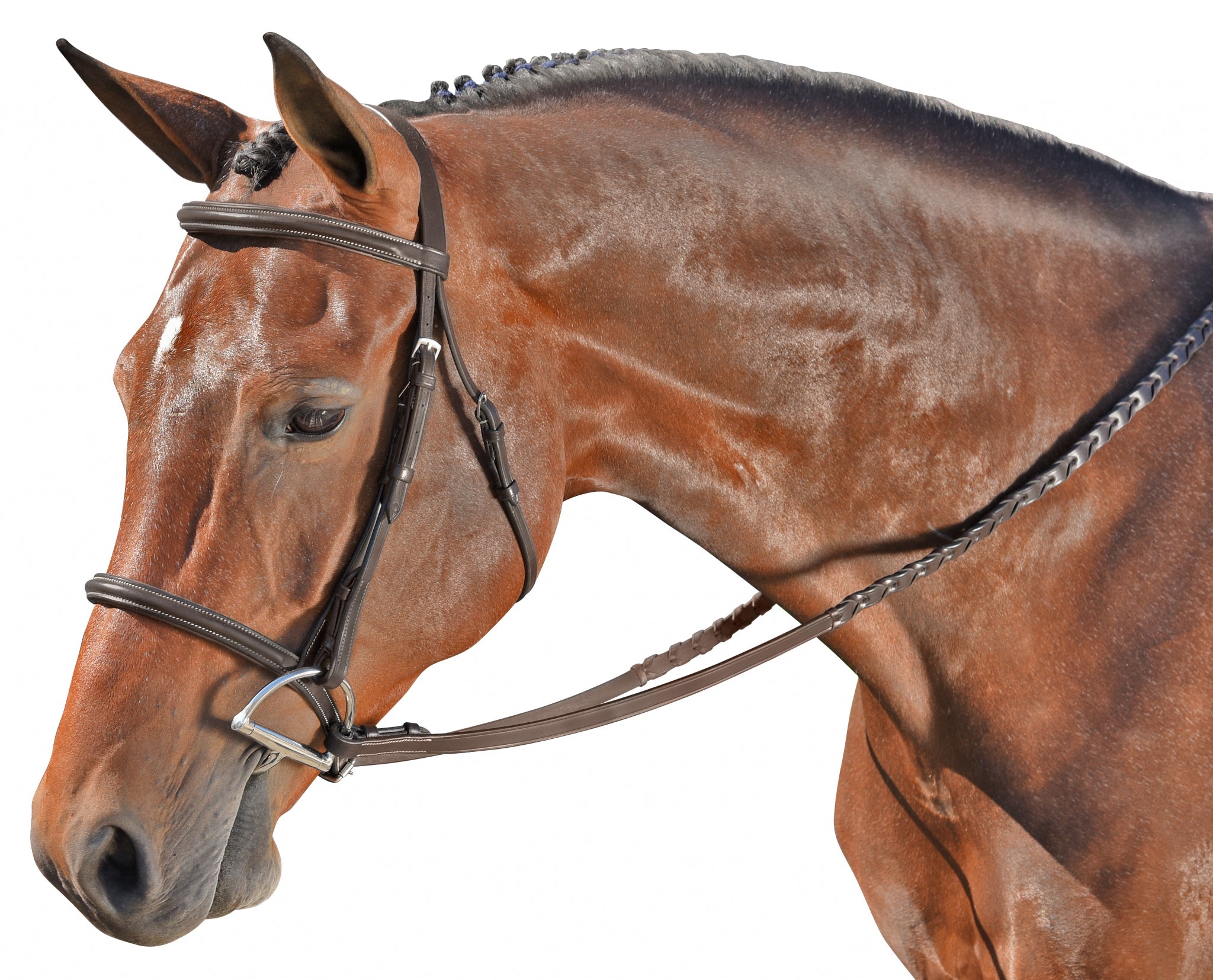 Flex Rider Plain Raised Snaffle Bridle