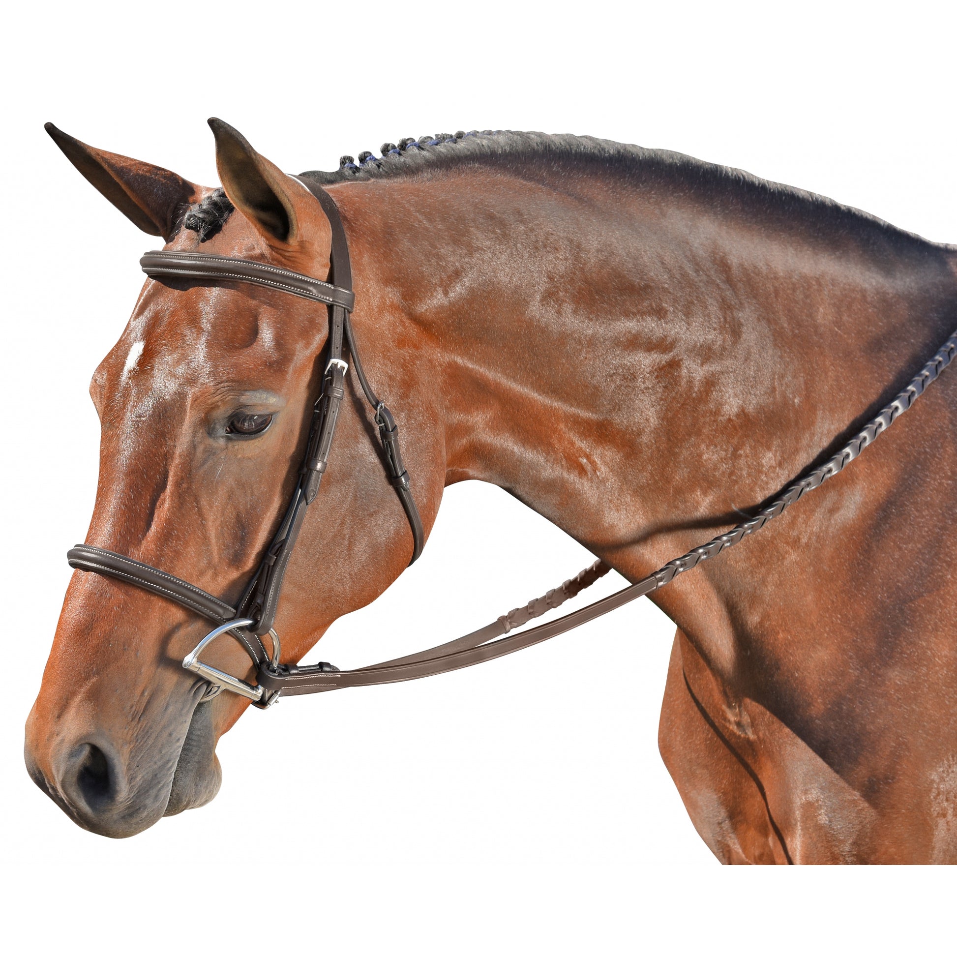 Flex Rider Plain Raised Snaffle Bridle
