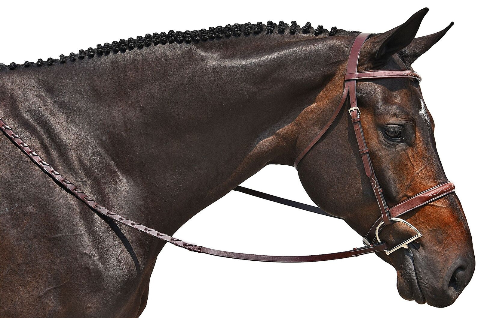 M Toulouse Handy Hunter Snaffle Bridle
