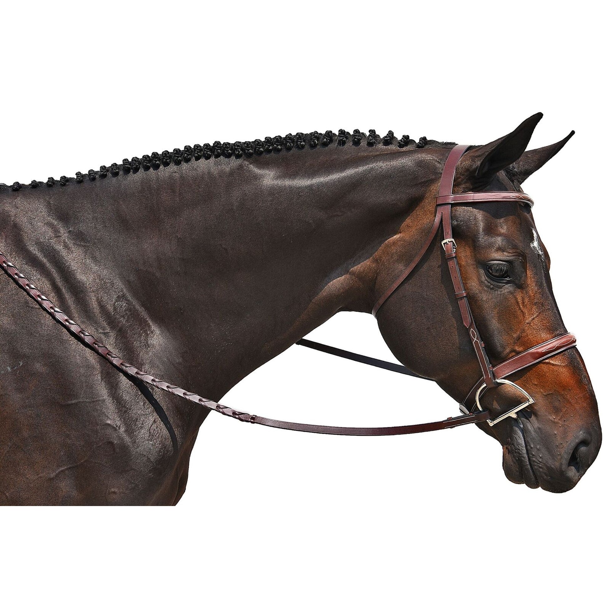 M Toulouse Handy Hunter Snaffle Bridle