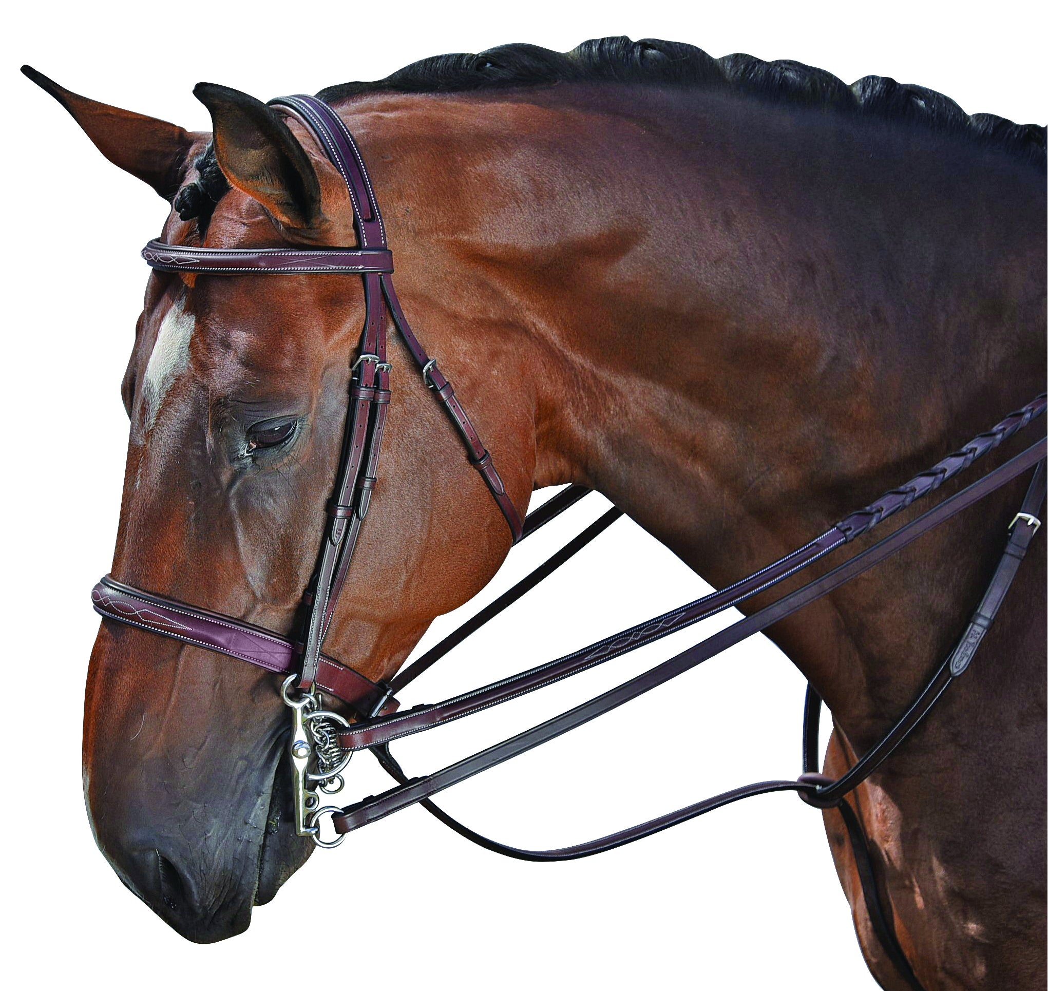 M Toulouse Devon Snaffle Hunter Bridle