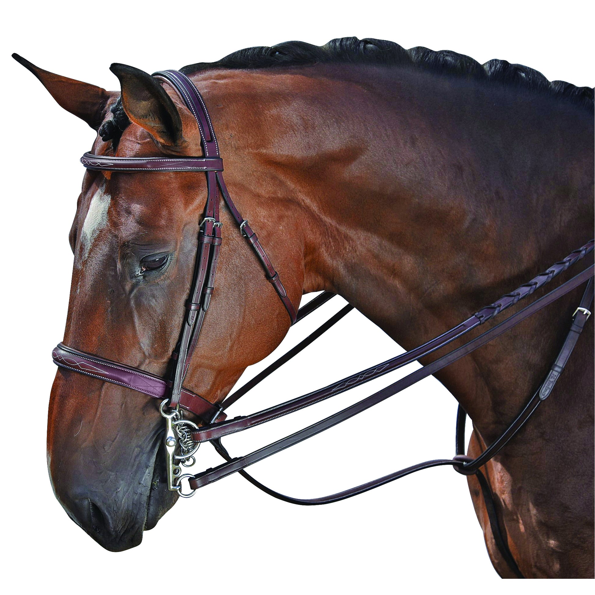 M Toulouse Devon Snaffle Hunter Bridle