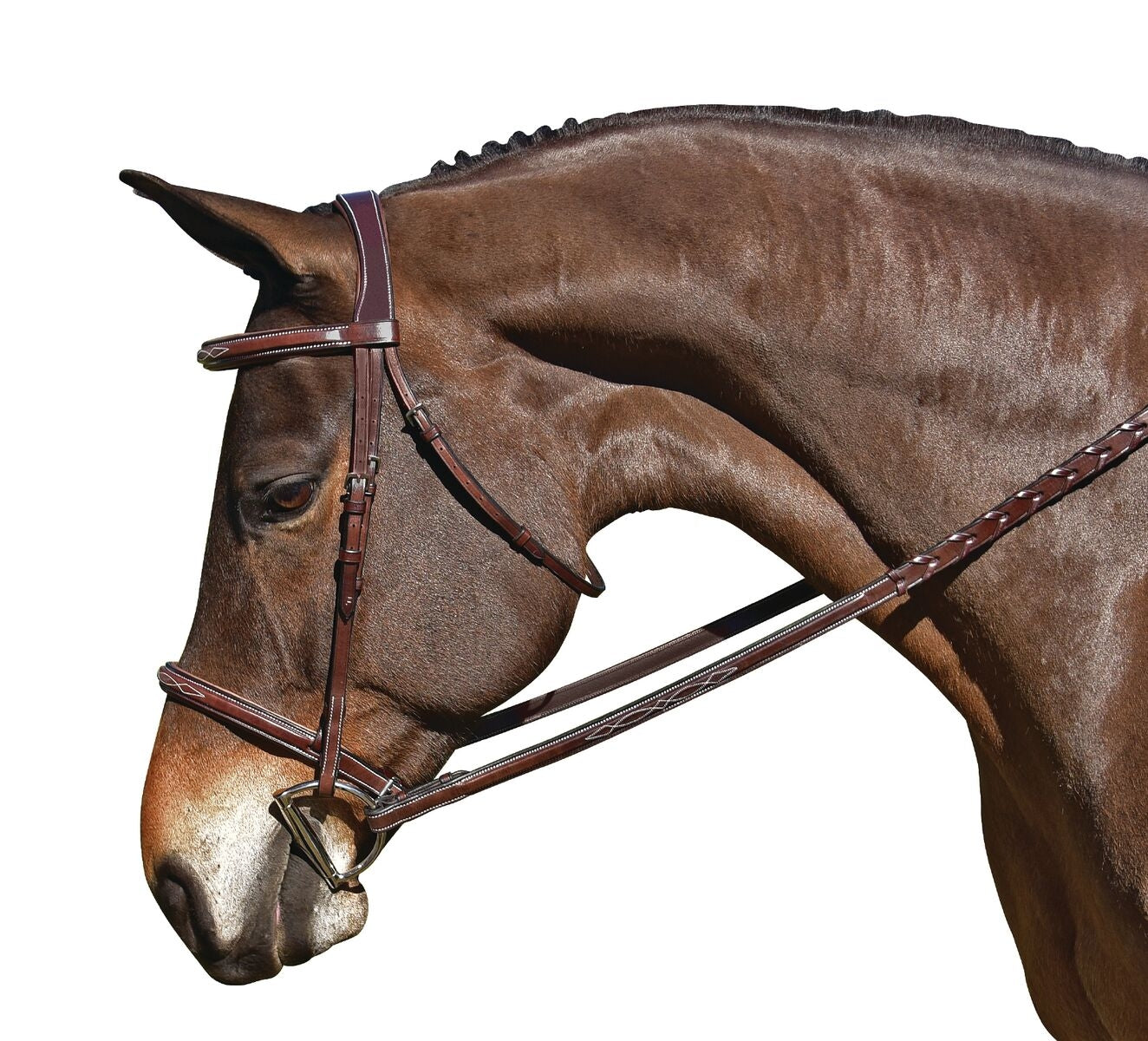 M. Toulouse Snaffle Hunter Bridle