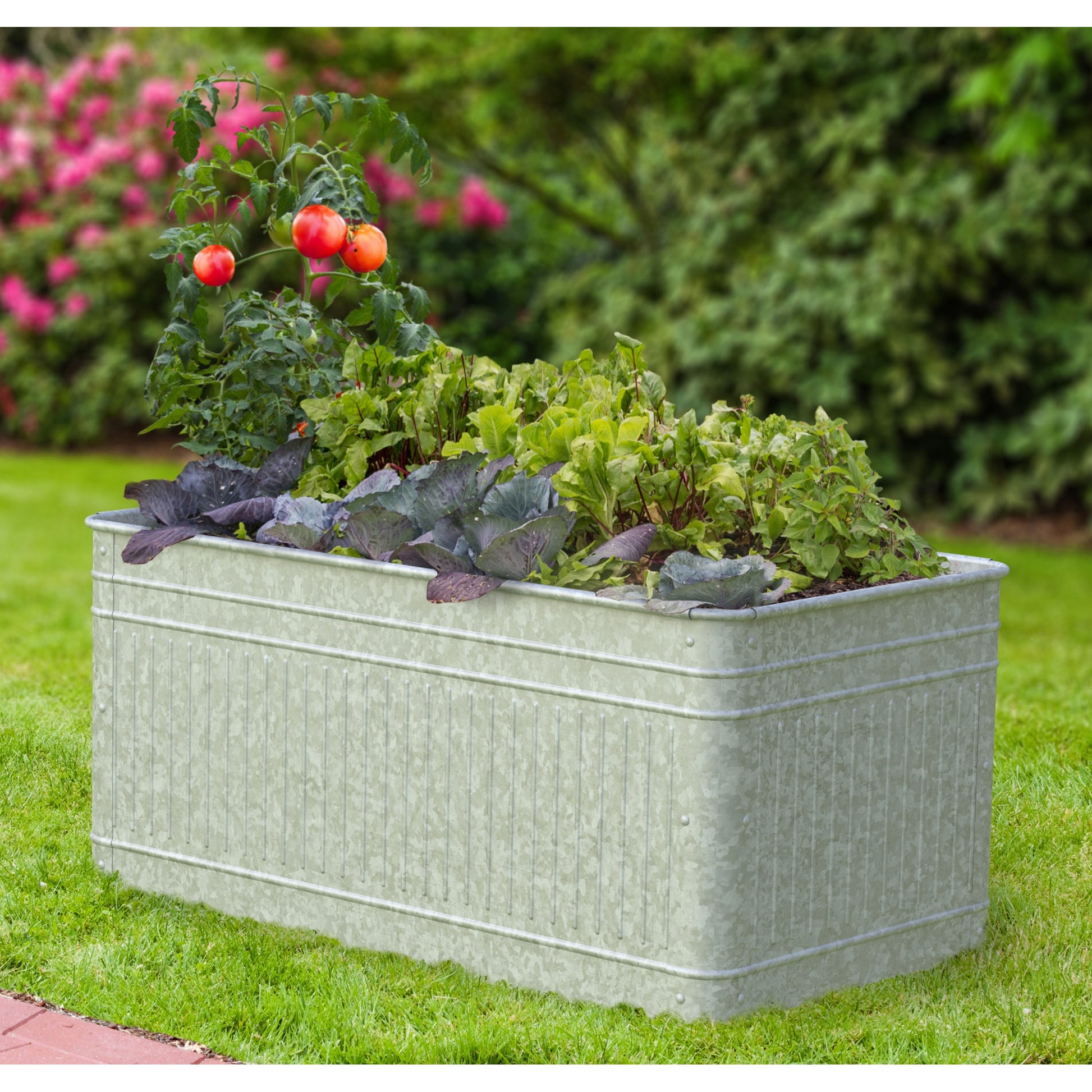 5-932291-galvanized.jpg
