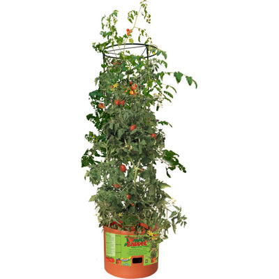5-932461-tomatobarrelwithtower.jpg
