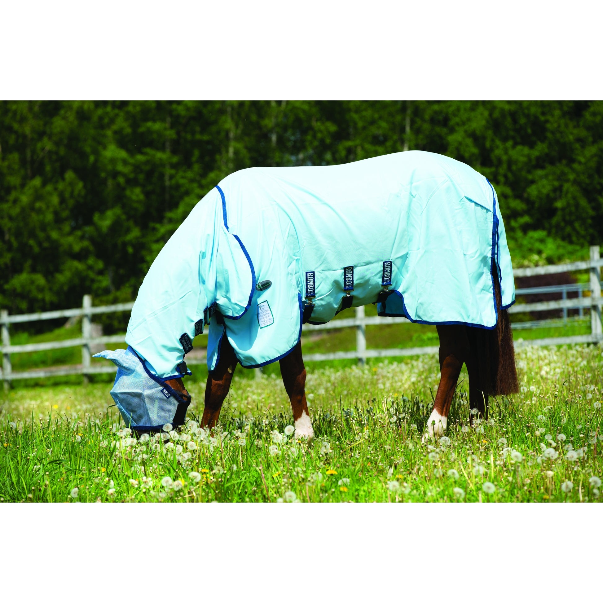 5-941000-babyblue.jpg