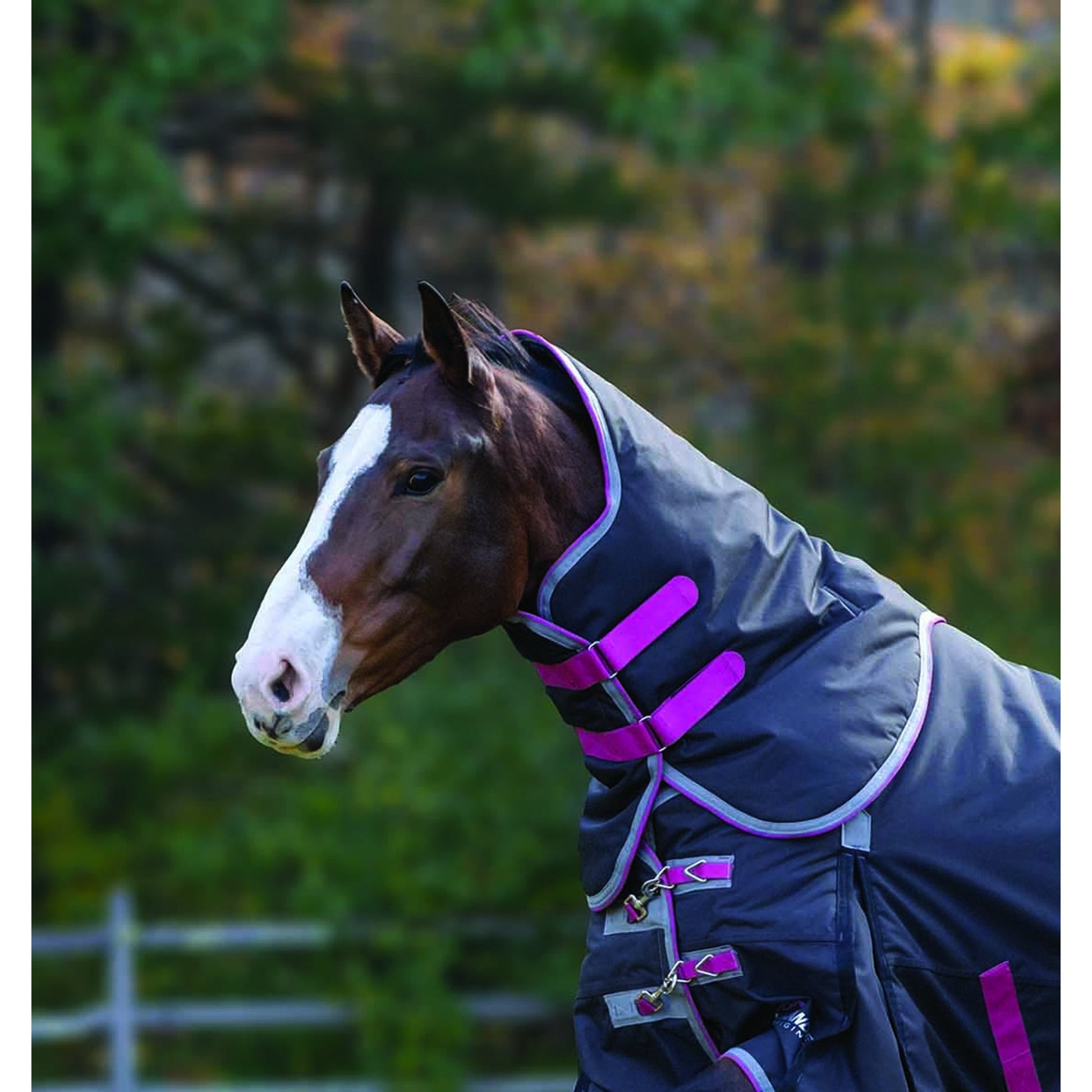 5-949384-neck.jpg