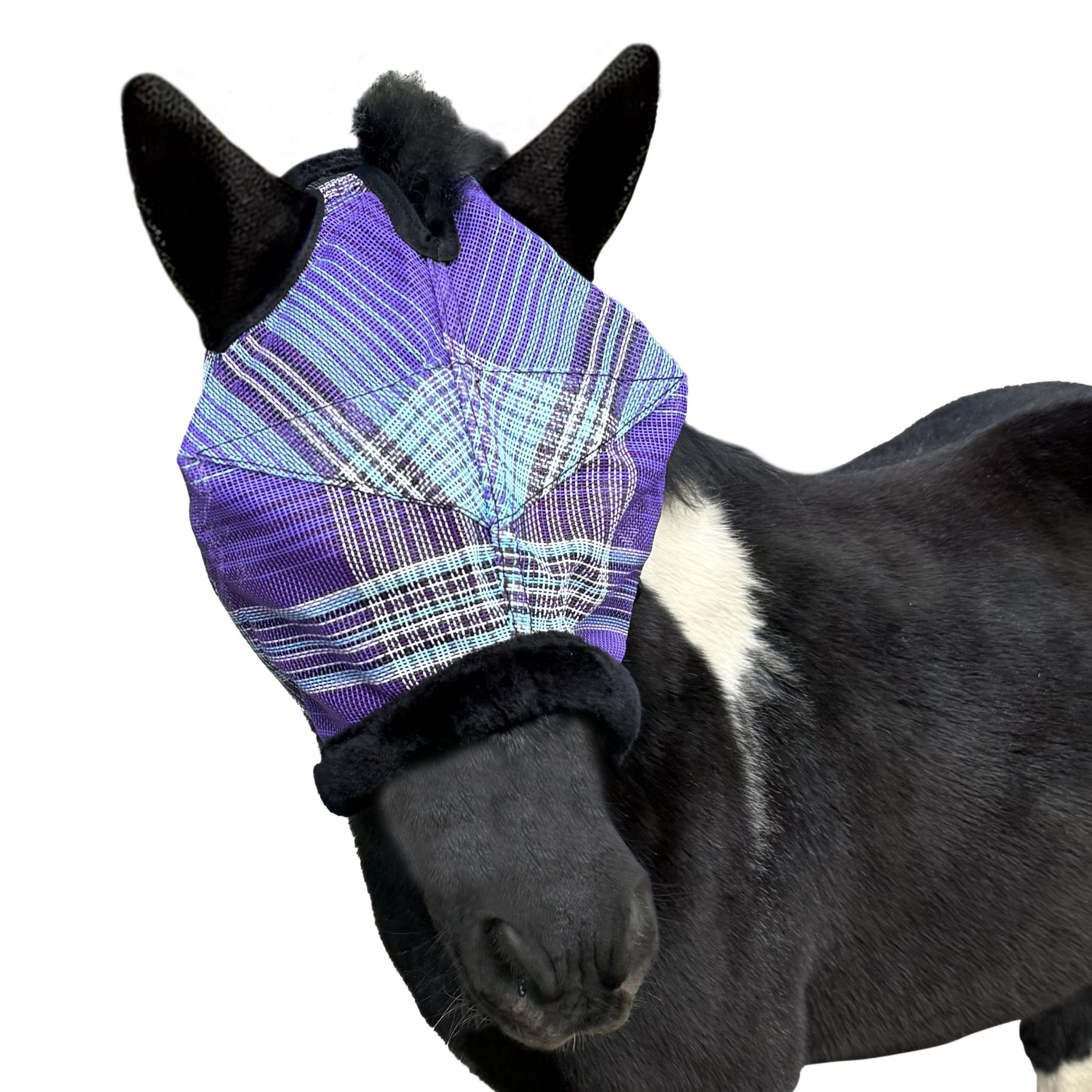 Kensington Miniature Signature Fly Mask with Plush Fl