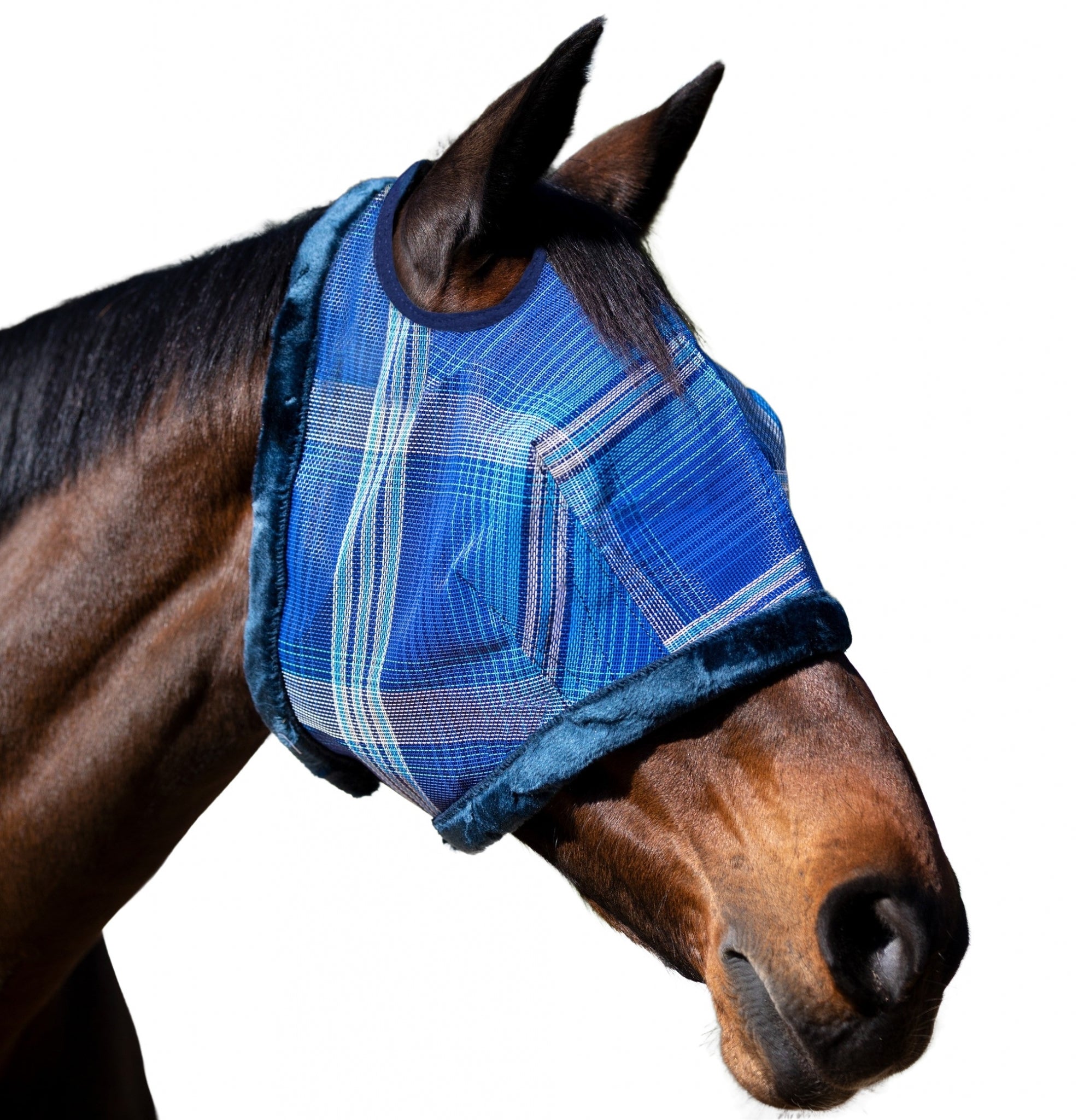 Kensington Fly Mask with Fleece Trim