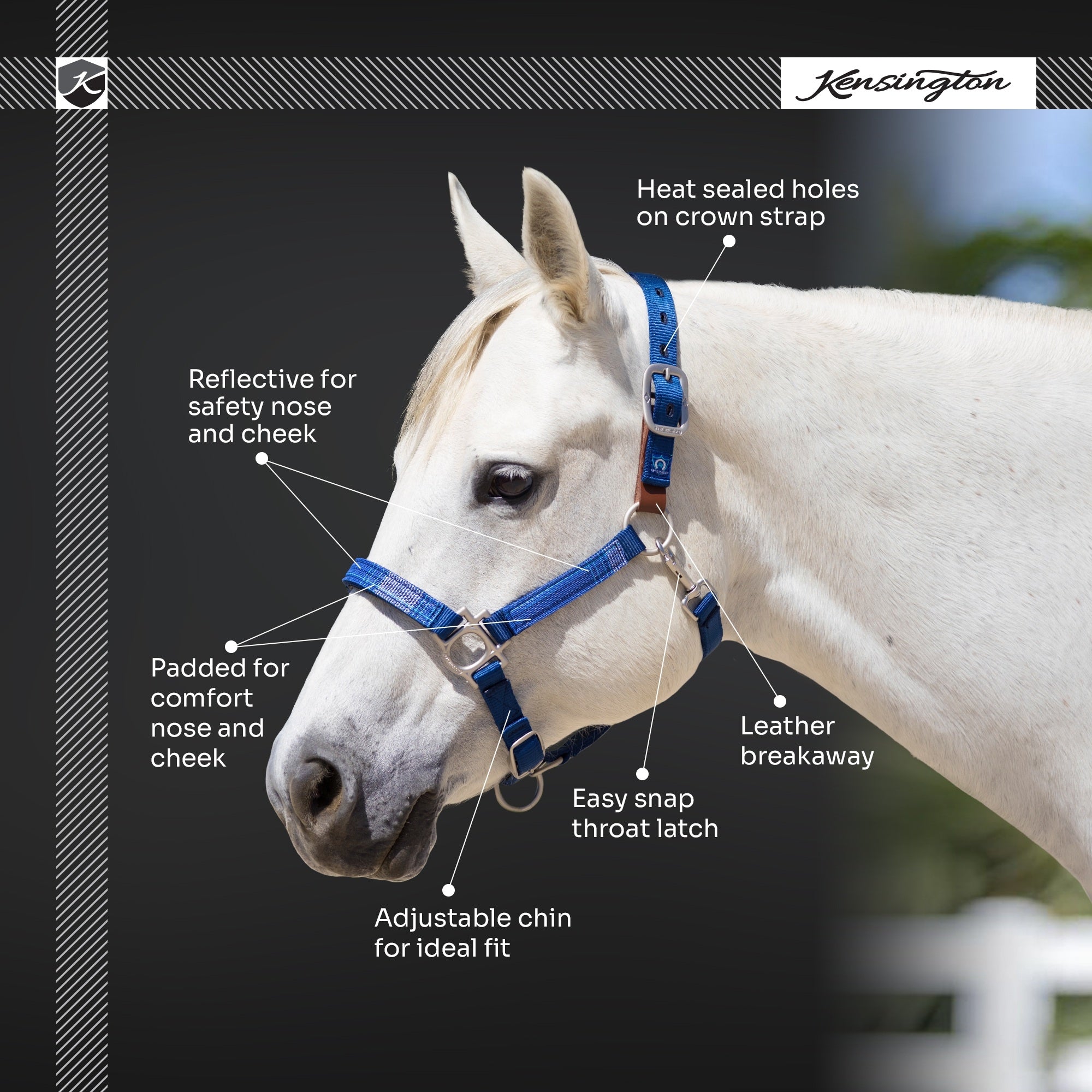 Kensington Breakaway Halter