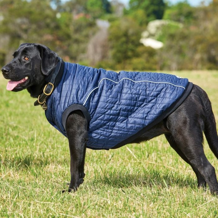 WeatherBeeta Puffer Dog Coat