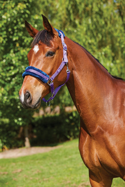 Saxon Element Fleece Headcollar