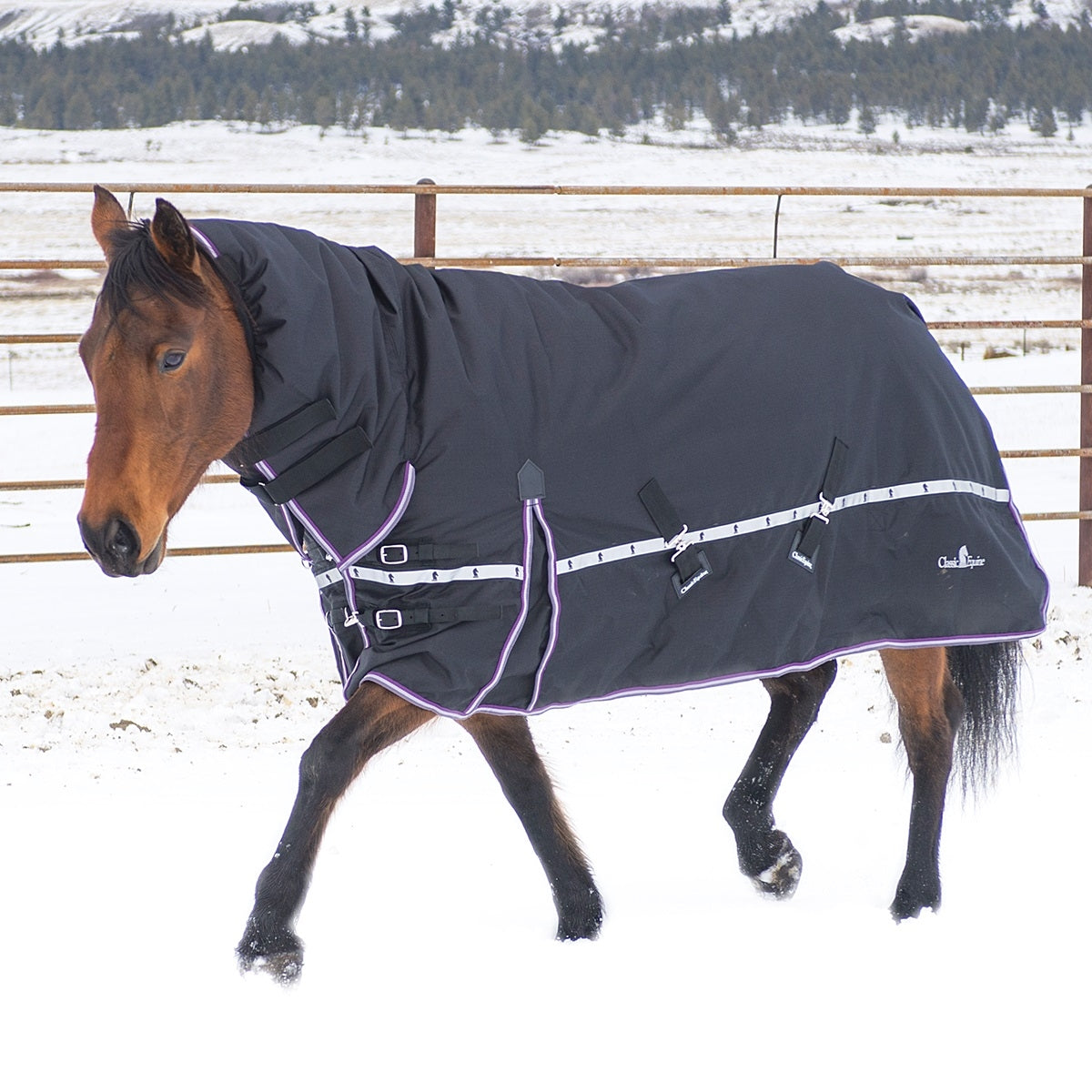 Classic Equine 10K Cross Trainer 300g Hooded Winter Blanket