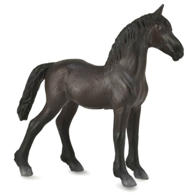 5-978593.jpg