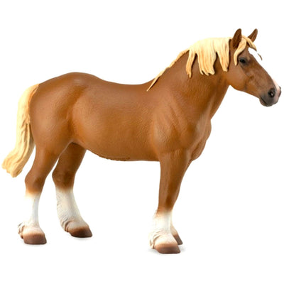 5-978594.jpg
