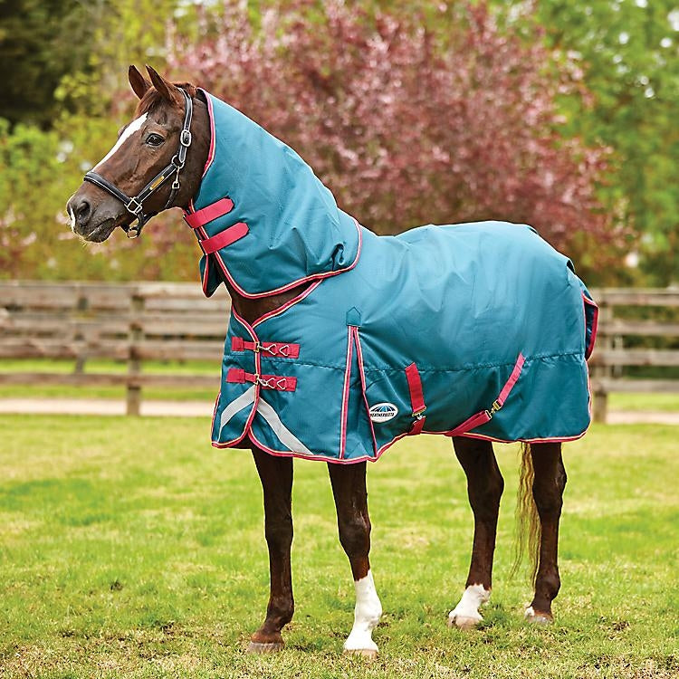 Weatherbeeta ComFiTec Dynamic Detach A Neck Med 66