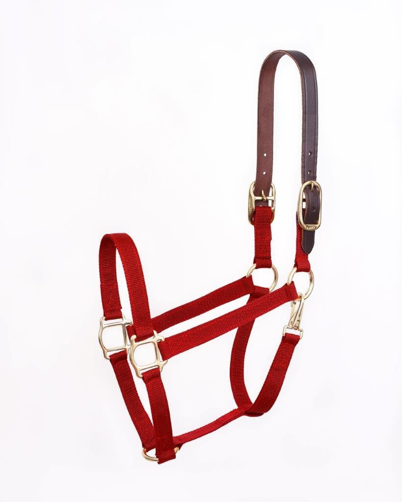 FREE Perri's Nylon Break-Away Halter with $150 Ord