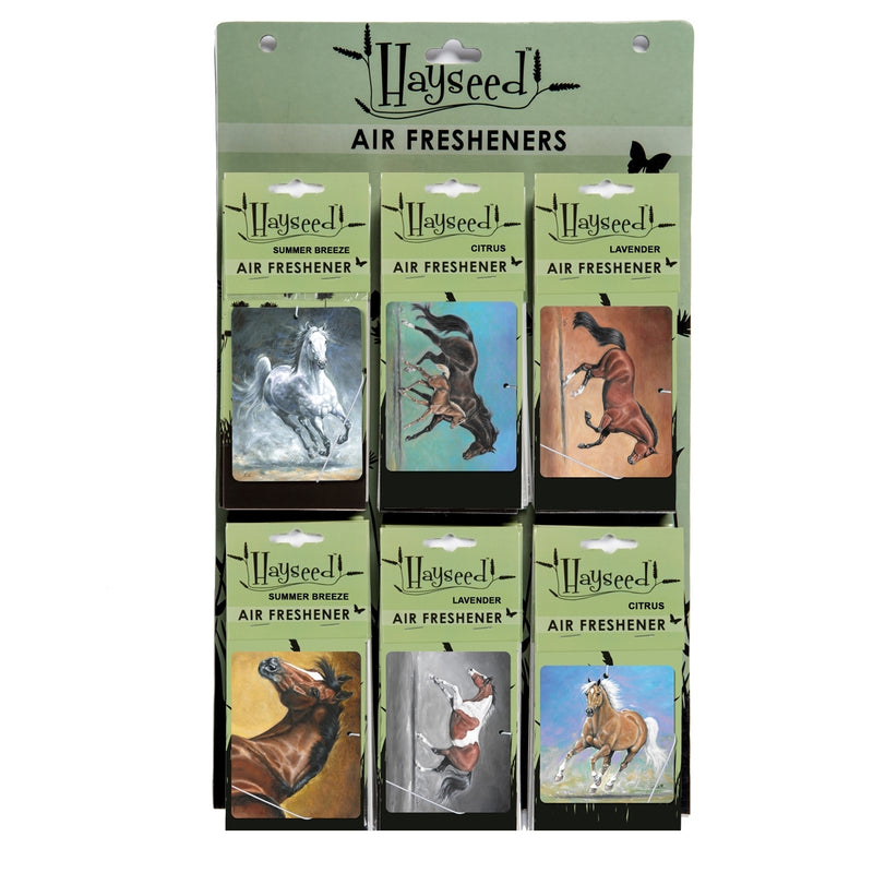 Lila Air Freshener Display