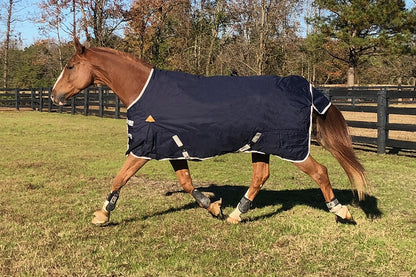 WorldBeater 1200D Turnout Blanket 60IN Dark Navy