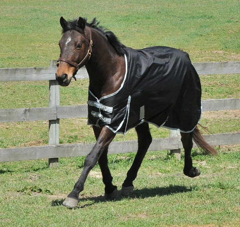 One-Of-A-Kind Turnout Blanket & Sheet Auction Lot Valued at $1500.00