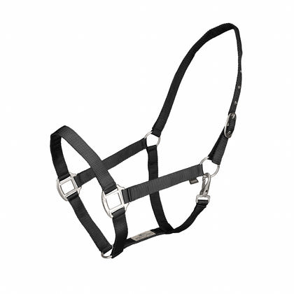 Kentucky Vogue Economy Nylon Halter