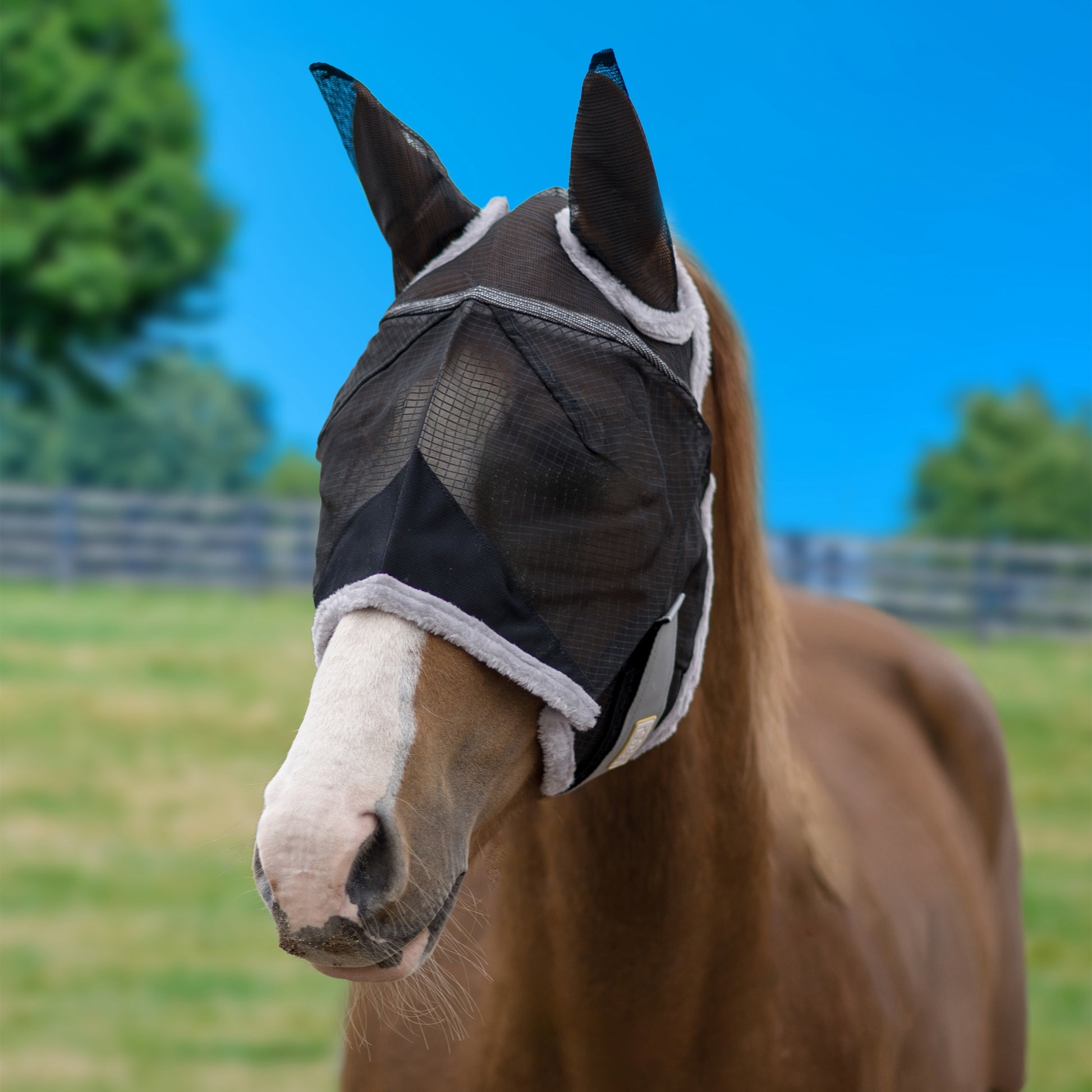 BARN & STABLE Fly Mask with Ears & Fleece Trim