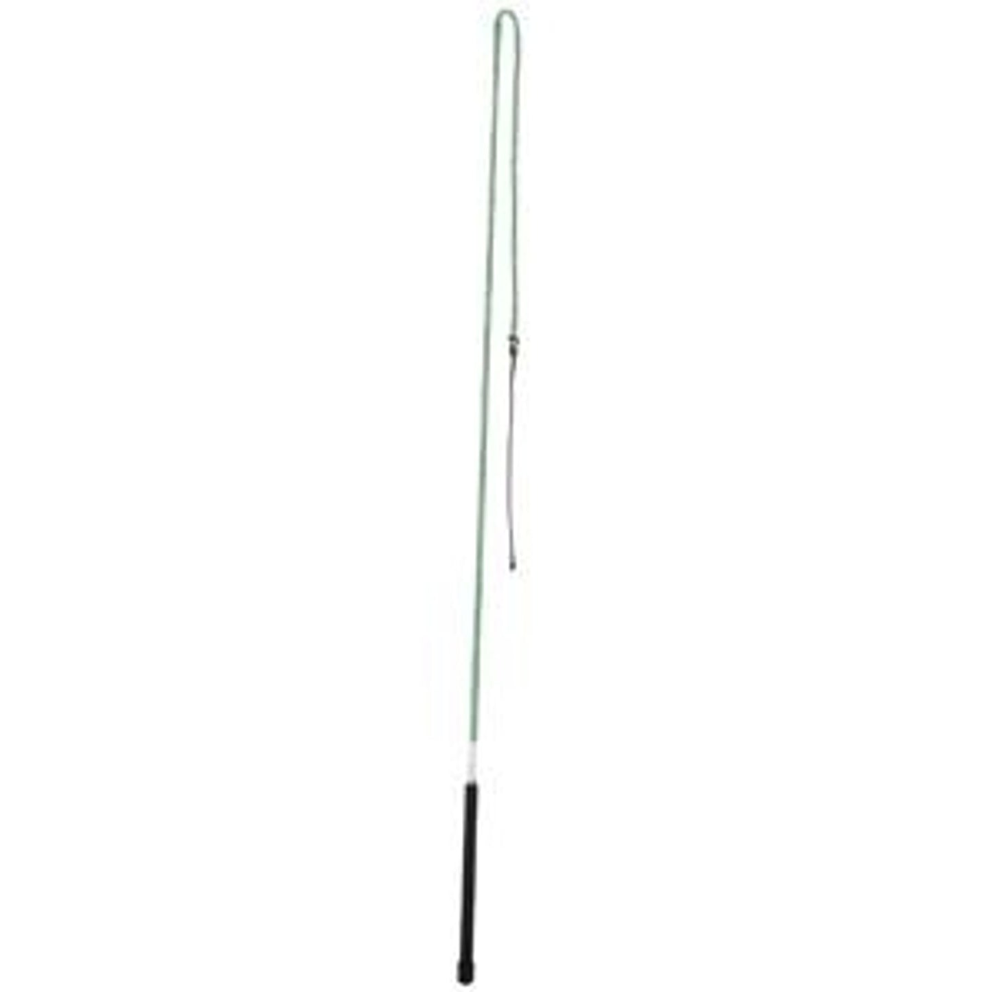 655100_green.jpg