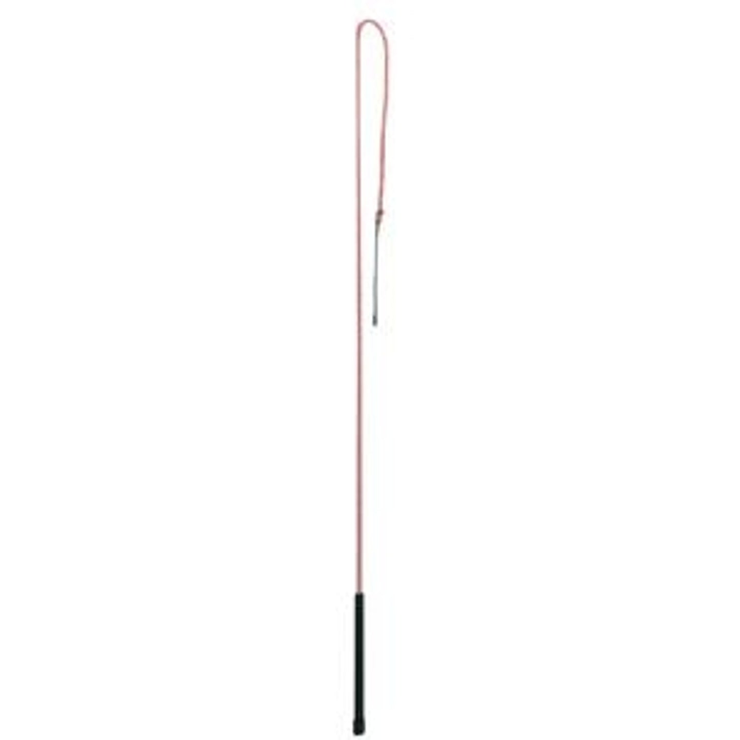 655100_red.jpg