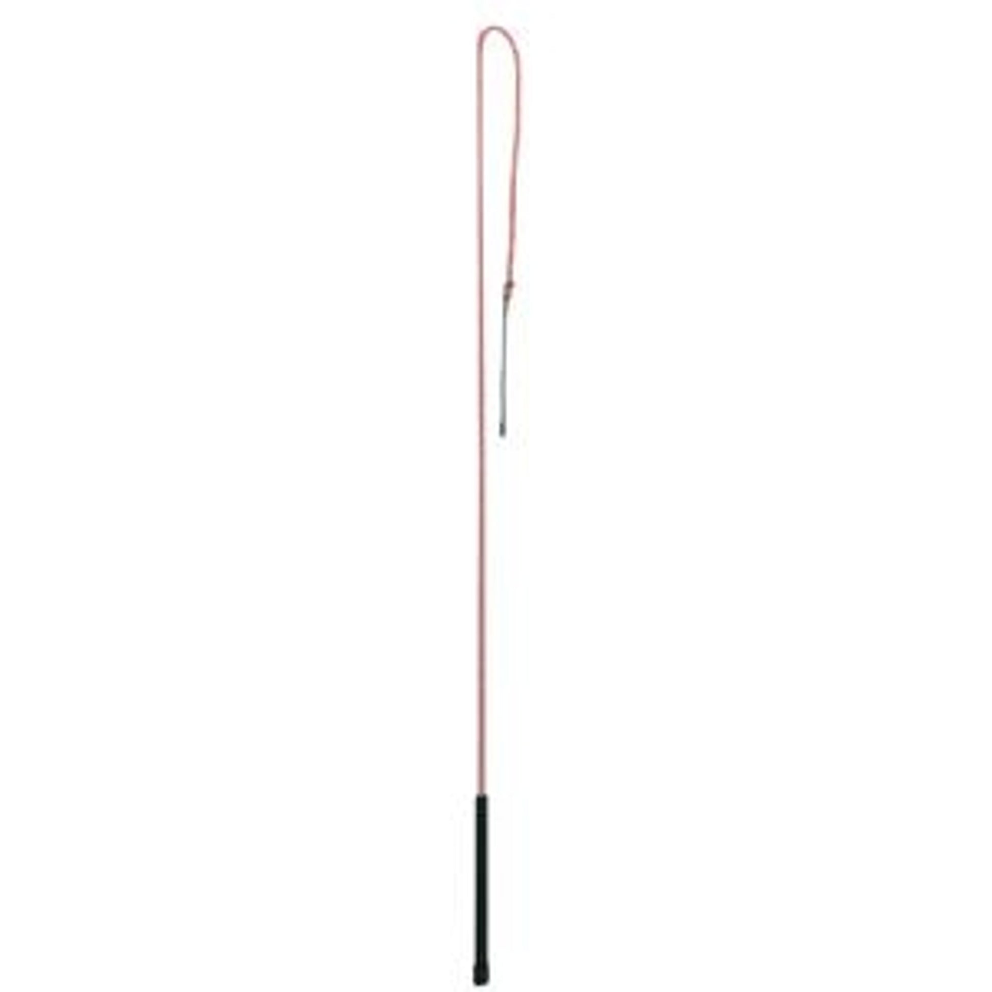 655100_red.jpg