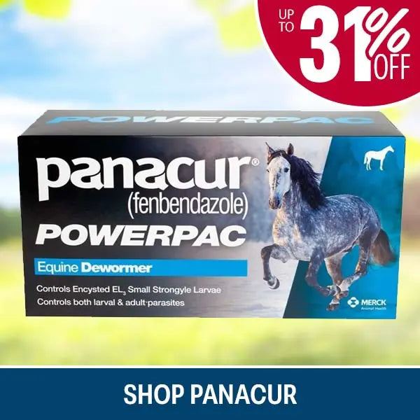 Panacur Powerpac Equine Dewormer box shown against a blurred outdoor background with a red 'UP TO 31% OFF' badge and a blue 'SHOP PANACUR' banner at the bottom.