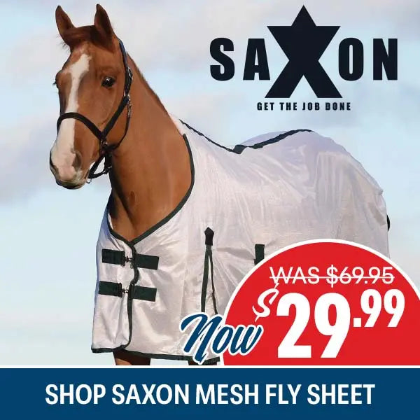 Horse wearing a Saxon mesh fly sheet with promotional pricing on a blue background