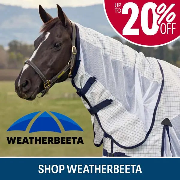 A dark brown horse wearing a white mesh horse fly sheet wThe image includes a red circular 'UP TO 20% OFF' badge, and a blue banner at the bottom reading 'SHOP WEATHERBEETA'.