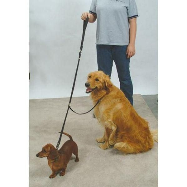 Sporn Double Dog Coupler