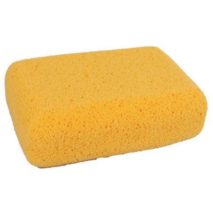 Fine Pore Body Hydra Sponge