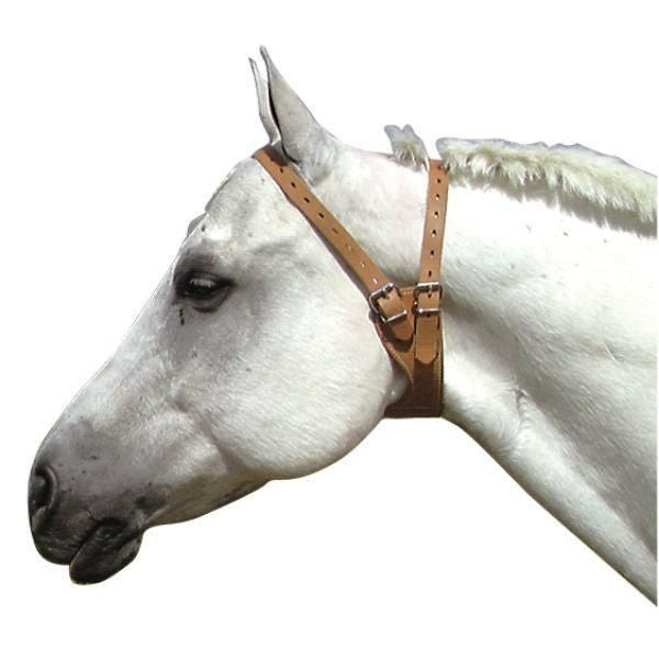 Miracle anti-cribbing Collar