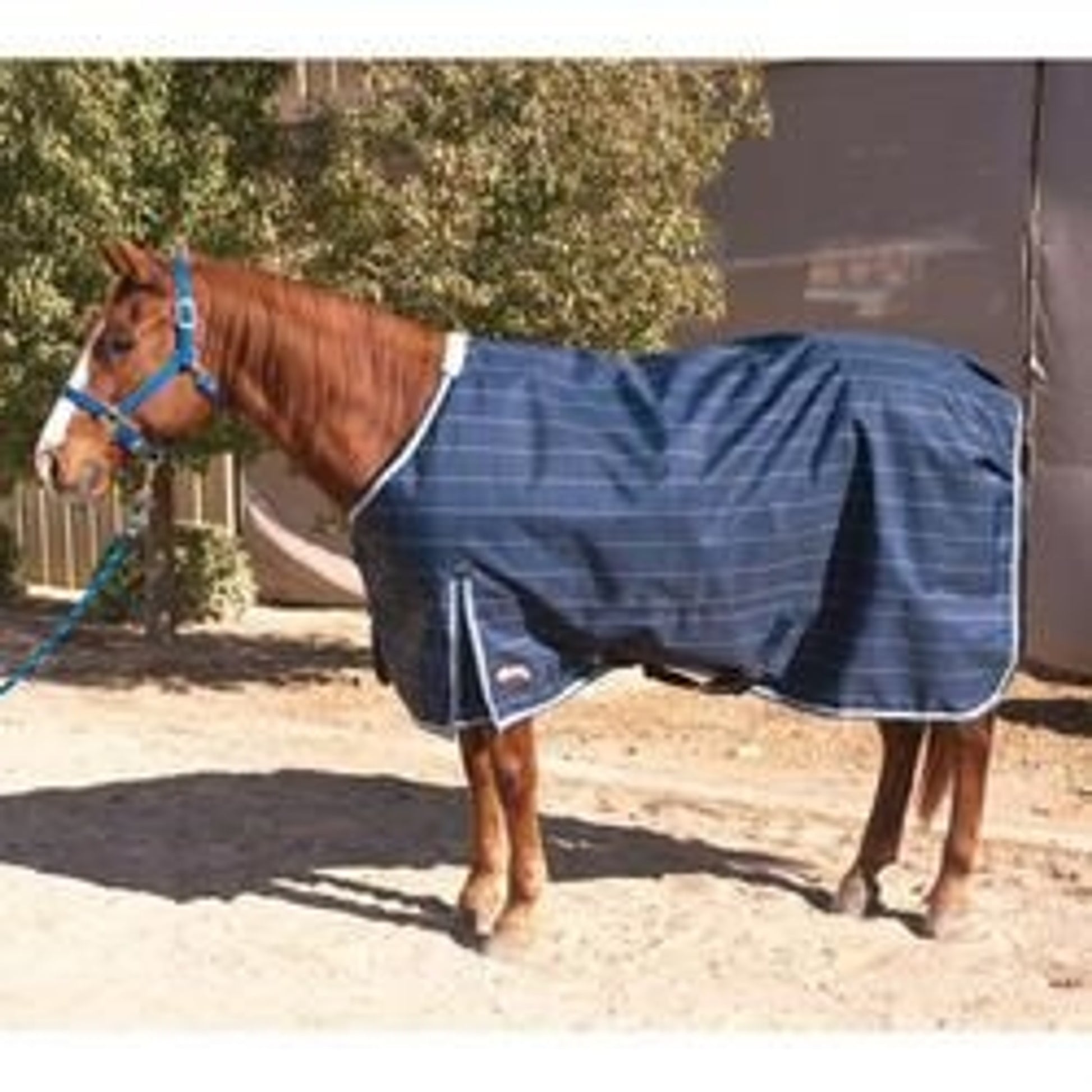 Weaver Deluxe Blanket - 840 D Blue Check 68"