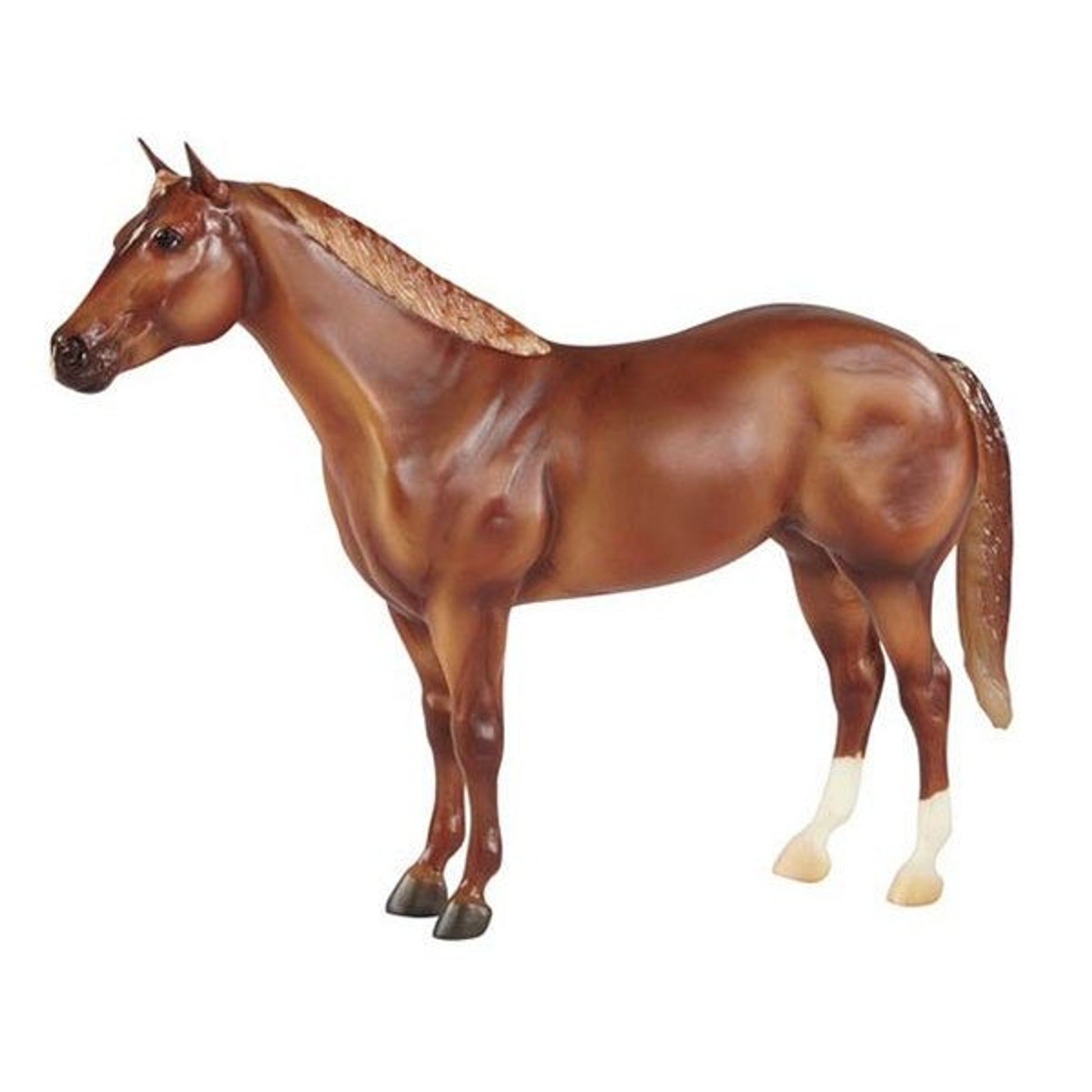 Jubilation 1746 Mule